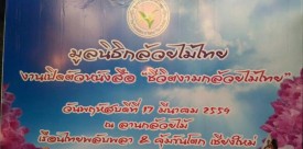 The Foundation of Native Thai Orchids